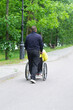 © Tereza - a man rolls a woman in a wheelchair along a park path, in the summer, outdoors