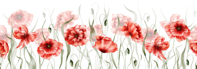 Wall Mural - Watercolor floral seamless border– Poppies, Red poppy flowers, Wildflowers, Botanic summer illustration isolated on white background, Hand painted floral background, Botanical collection of garden 