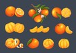 Mandarin set vector illustration. Isolated whole sweet citrus fruit, orange twist peel, fresh mandarin in slices and cut in half, tropical clementine with blossom and leaves on tree branch