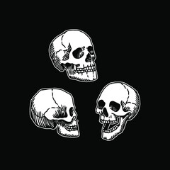 three different skull vectors for illustration and logo on black background