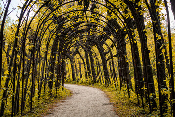 Canvas Print - Arch in a colorful autumn garden