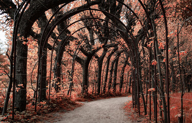 Poster - Arch in a colorful autumn garden