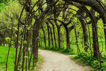 Canvas Print - Arch in a green spring garden