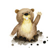 watercolor drawing, clipart. cute gopher character. children's illustration forest animal gopher.
