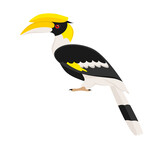 Fototapeta  - Great hornbill isolated on a white background. Vector illustration in flat style