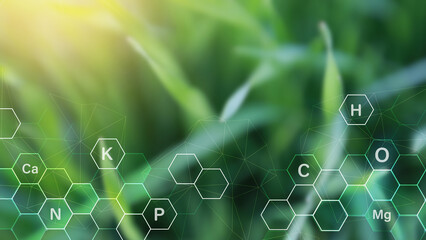 Grass on sunny background with digital mineral nutrients icon. Fertilization and the role of nutrients in plant life