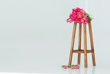 Pink Tulips On A Chair, White Background, Space For Text