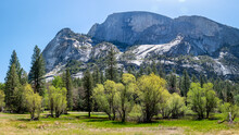 Panoramic View Of Half Dome From The Meadow Of Mirror Lake, In Yosemite, California