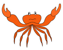 Crab. A marine invertebrate with claws of the crustacean order. Color vector illustration. Isolated background. Nimble creature with lots of legs. Cartoon style. Idea for web design.
