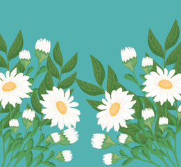 Sticker - daisy flowers garden decoration