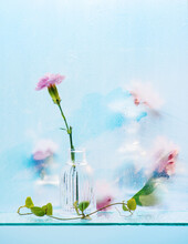 Pink Flowers In Transparent Vases Behind A Matte Glass, Watercolor Effect, Blurry Still Life