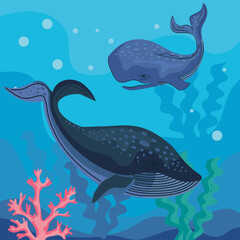 Wall Mural - two whales swiming animals