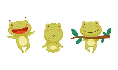 Wall Mural - Green funny frog characters in different activities set. Cute toad amphibian animal cartoon vector illustration
