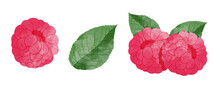 Set Of Rasp Berry With Leaves Design Elements. Watercolour Style Vector Illustration.	