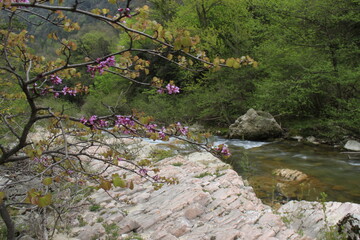 Sticker - Paesaggio naturale