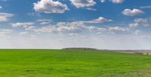 Landscape With A View Of The Endless Green Field Of Grass And Deep Sky.Beautiful Spring Rural Landscape. A Field With Friendly Shoots Of Agriculture Along The Furrows.