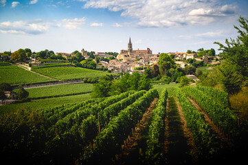 Saint Emilion et son vignoble en été