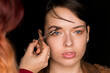 Make-up Artist Brushing the Eyebrows of a Beautiful Caucasian Woman With Cat Blue Eyes and Full Natural Lips on Black Background.