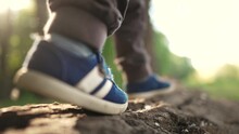 Baby Boy Playing In The Forest Park. Close-up Child Feet Walking On A Fallen Tree Log. Happy Family Kid Dream Concept. A Child In Sneakers Walks On A Fallen Tree In Lifestyle Park