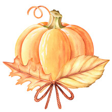 Pumpkin And Autumn Leaves. Watercolor Vintage Illustration. Isolated On A White Background.
