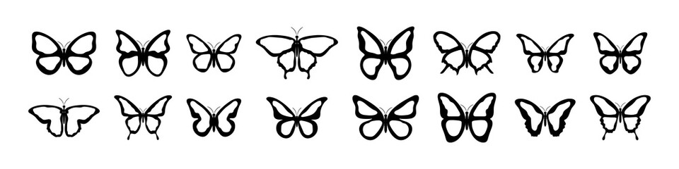 Wall Mural - butterfly vector icons. butterflies silhouette black collection. vector illustration