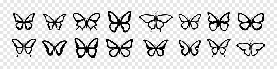Wall Mural - butterfly vector icons. butterflies silhouette black collection. vector illustration