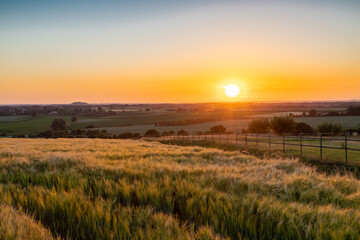 Wall Mural - A golden sunset over the rolling hills in Banholt, south Limburg in the Netherlands creating holiday vibes. The views and the warm glow over the landscape create a feeling of being in the Mediterranea