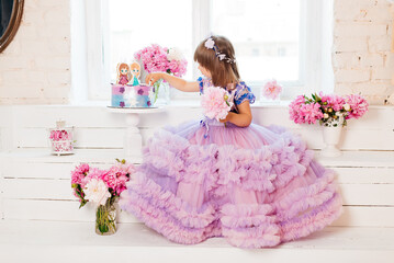 Beautiful girl in a fluffy pink dress