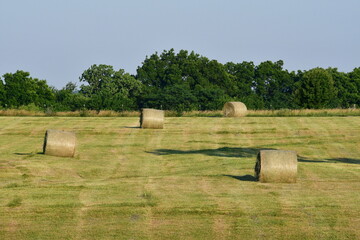 Sticker - Hay Bales in a Farm Field