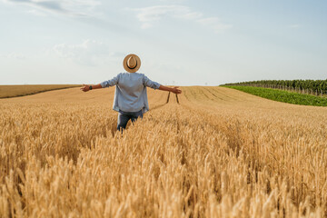 Wall Mural - Happy farmer with arms outstretched standing in his growing wheat field.	