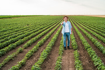 Wall Mural - Happy farmer is standing in his growing  soybean field and showing thumb up.