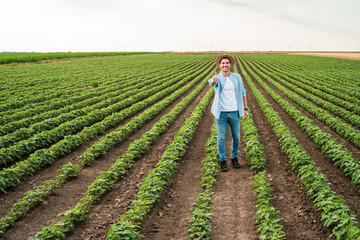 Poster - Happy farmer is standing in his growing  soybean field and showing thumb up.