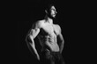 © sergiophoto - Portrait of shirtless muscular man in a jeans. Young male hunk showing his perfect body and muscles on black background