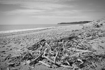 Canvas Print - New Zealand - Bruce Bay coast. Black and white vintage photo style.