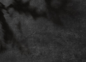 Wall Mural - Dark texture for concrete wall background with leaves shade