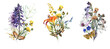 watercolor flowers bouqet set. floral illustrations. Botanical composition. Branch of flowers. Summer flowers