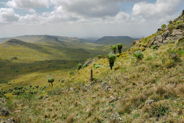 Scenic view of rock formations against a mountain background at Ol Doinyo Lesatima Dragons Teeth in the Aberdares, Kenya