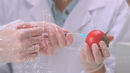 Poster - Animation of mathematical equations over caucasian scientists vaccinating tomato