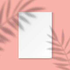 Vector Mockup with empty white A4 paper sheet on pink background and palm leaves shadow overlay effect. Minimalist portfolio blank space background for web portfolio, poster mock up, presentation.