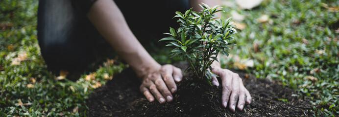 Young man transplanted small seedlings into mineral rich potting soil and prepared to water the plants, Plants help increase oxygen in the air and soil, Loving the Earth and Conserving the Environment