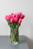 Fototapeta Tulipany - A large bouquet of pink tulips in a transparent vase stands on a blue table. A beautiful bouquet for a girl or for a holiday. Springtime abundance of flowers. Freshness and purity.