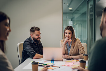 Wall Mural - Two colleagues having a meeting in an office and using a laptop