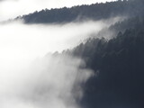Fototapeta Na ścianę - mist over the mountains