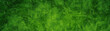 green sophisticated texture banner panorama background