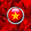 Flag of Vietnam 3D badge.