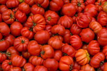 Beefsteak Tomatoes. Vegetables From The Farmer