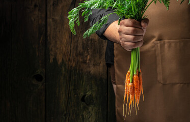 Farmers man hand holding fresh carrots on a dark background. Healthy organic food, vegetables, agriculture. place for text