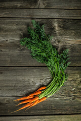 Wall Mural - organic carrots with green leaves on wooden background. Clean eating, dieting, vegan food concept. top view