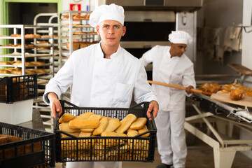 Wall Mural - Positive bakery worker lays fresh hot bread