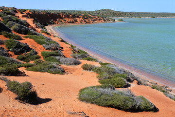 Wall Mural - Landscape view of Francois peron national park peninsula Western Australia